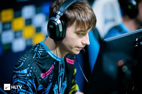 greyhound hltv|Grayhound .